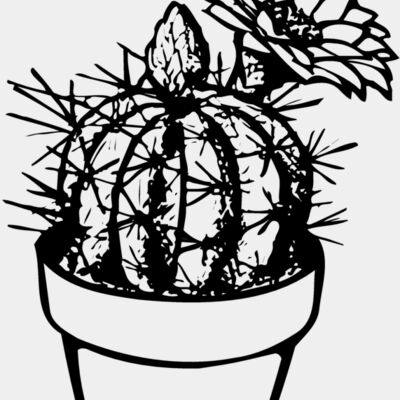 CACTUS01 Thumbnail