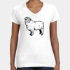 Women's Fine Jersey V-Neck Tee Thumbnail