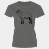 Ladies Performance Tee Thumbnail