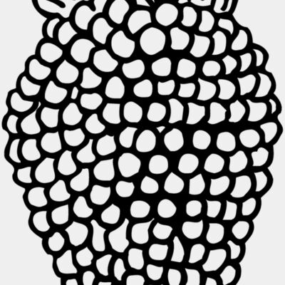 Fruit Thumbnail
